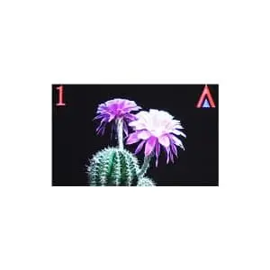 نمایشگر LCD آسانسور پنتا مدل P10
